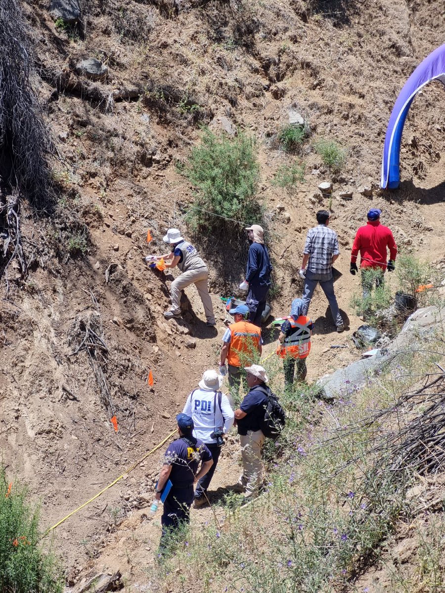 PIENSAPRENSA 360 mil Seguidores tweet media