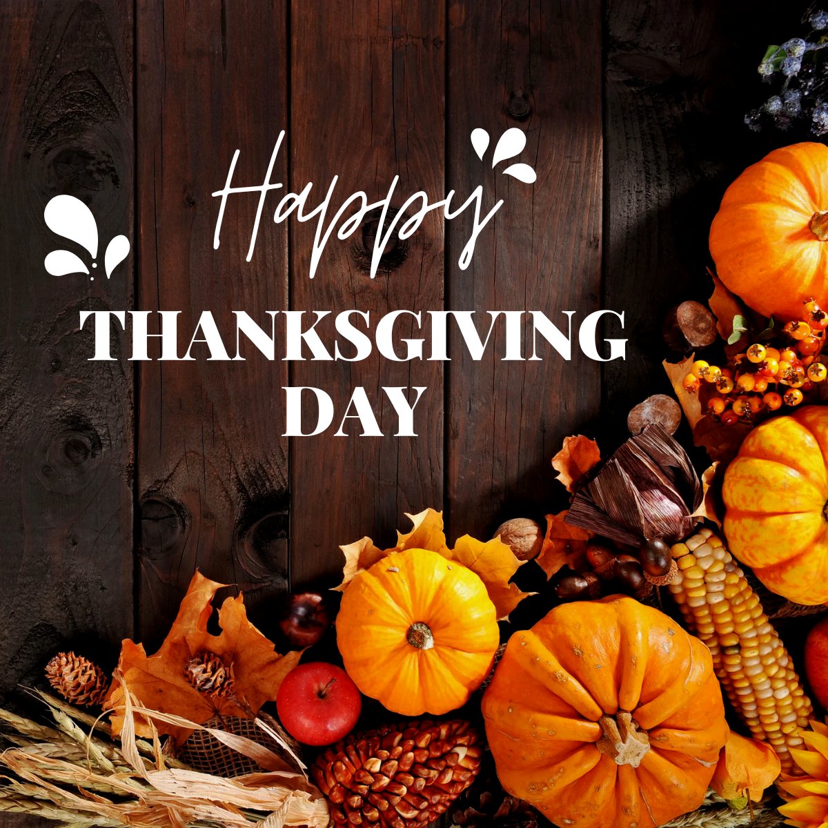 From all of us a BlueBolt, have an Amazing Thanksgiving.