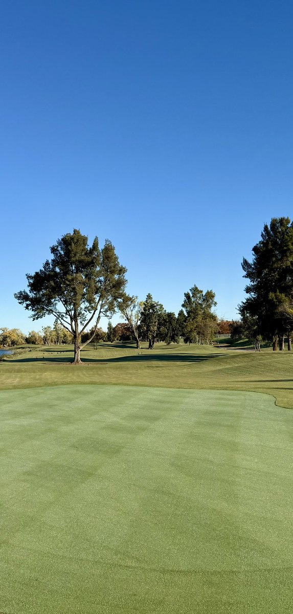 Kurtis wolford tweet media