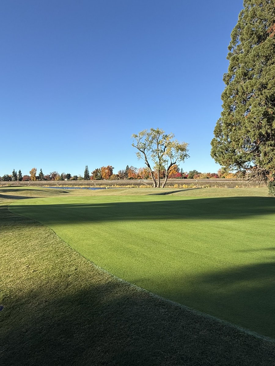 Kurtis wolford tweet media