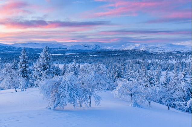 Coeur_De_Meute's tweet photo. J'ai rêvé de flocons de

N uances de blanc au reflet d'argent
E clats fragiles d'un ballet délicat.
I mmaculée robe couvrant l'horizon,
G laçage délicat d'un monde à l'
E phémère beauté, Reine de l’hiver,

 enflammant mon  âme poétique.

#Acrostiche #DéfiAcrostiche NEIGE https://t.co/MRlW98y535