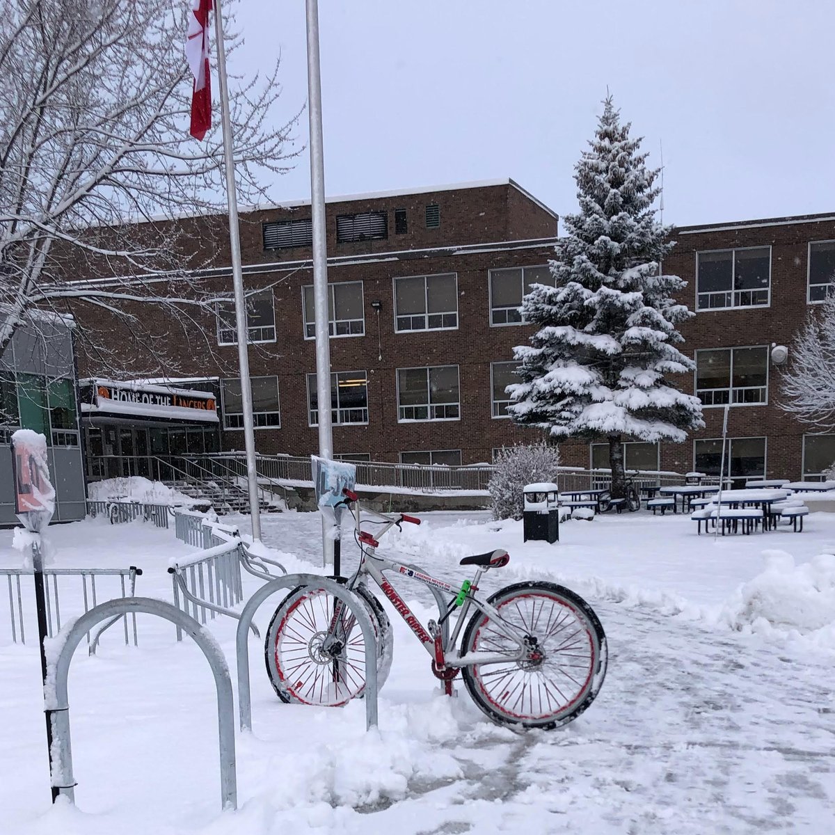 sebikes's tweet photo. Check out this awesome Monster Ripper photo that Canada's @docsbikeshop  posted! "Greeting from the North! 🇨🇦☃️ SE Bikes will always get ya to school. 💪" We agree! #sebikes #sebikeslife #monsterripper #bikelife https://t.co/1ekPqmOrvm