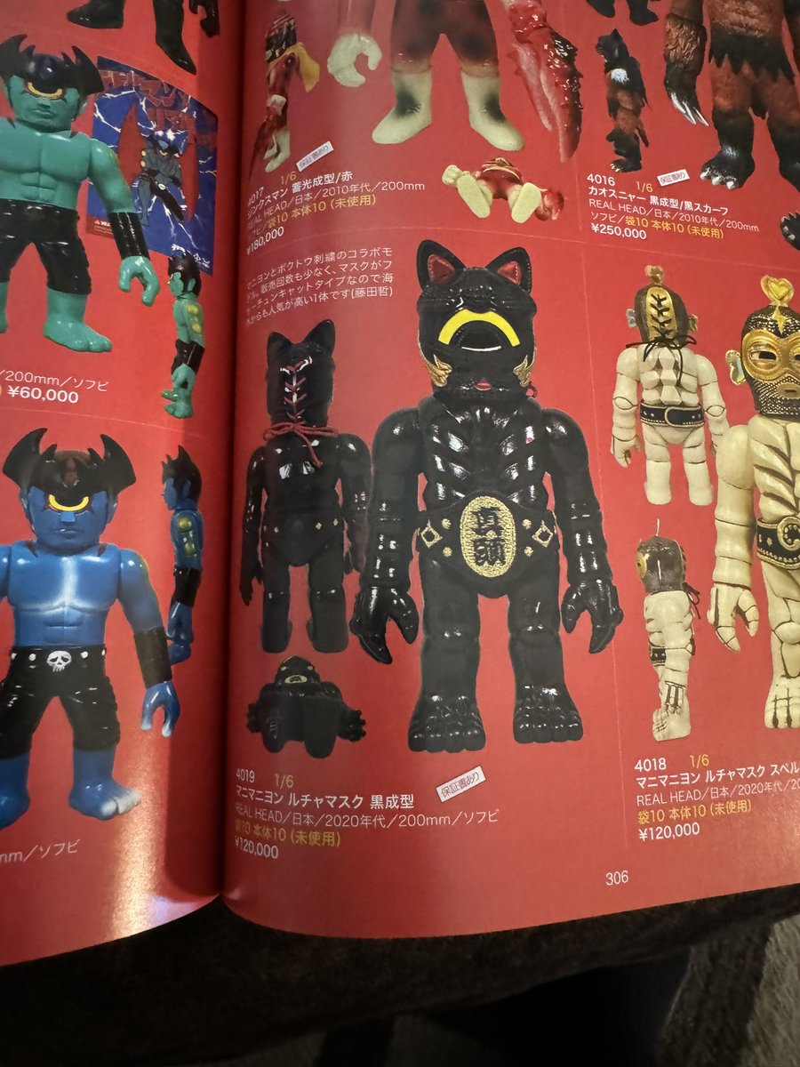 Zenbu125 arrived today from <a href="/mandarake/">まんだらけ公式 mandarake official account</a> with a feature of <a href="/4921RHND/">リアルヘッド</a>