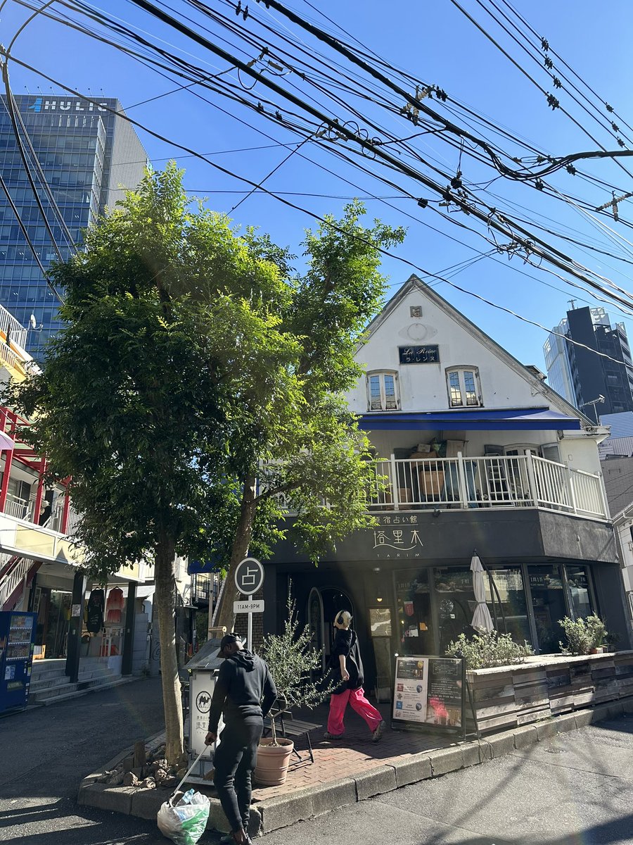 U9PGXuYJ56jyFq4's tweet image. 28日（木）☀️

本日、

#原宿占い館塔里木
11：00〜21：00
#ヴェルニ電話
#http://uranai-tarim.jp/teller/profile/181/
#平家楽々（ララ)
#占い
#原宿
#これから✨