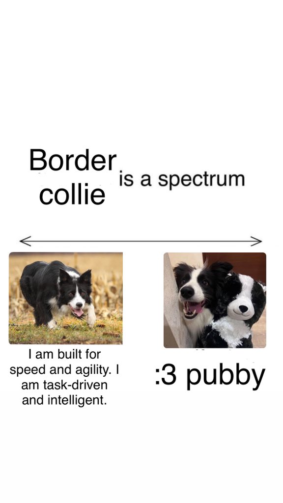 I had to make one for the sillies