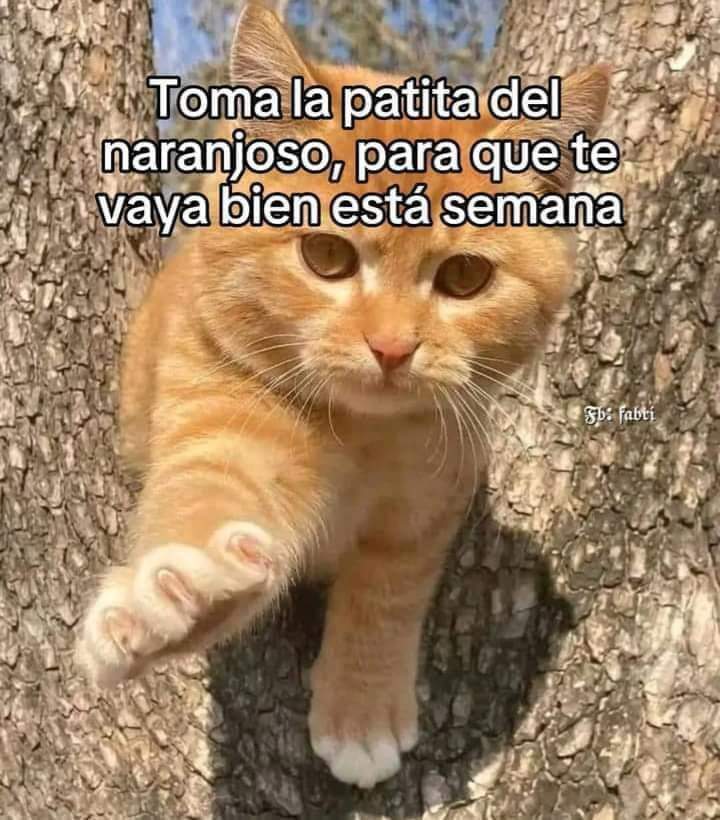 ile0719's tweet photo. Y todos los días ✨✨ https://t.co/mHZz9BESWy