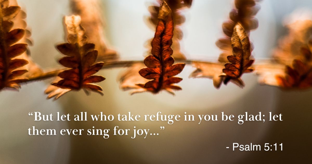 FicCltc's tweet photo. "But let all who take refuge in you be glad; let them ever sing for joy..." - Psalm 5:11 https://t.co/d5WSKzRPwf