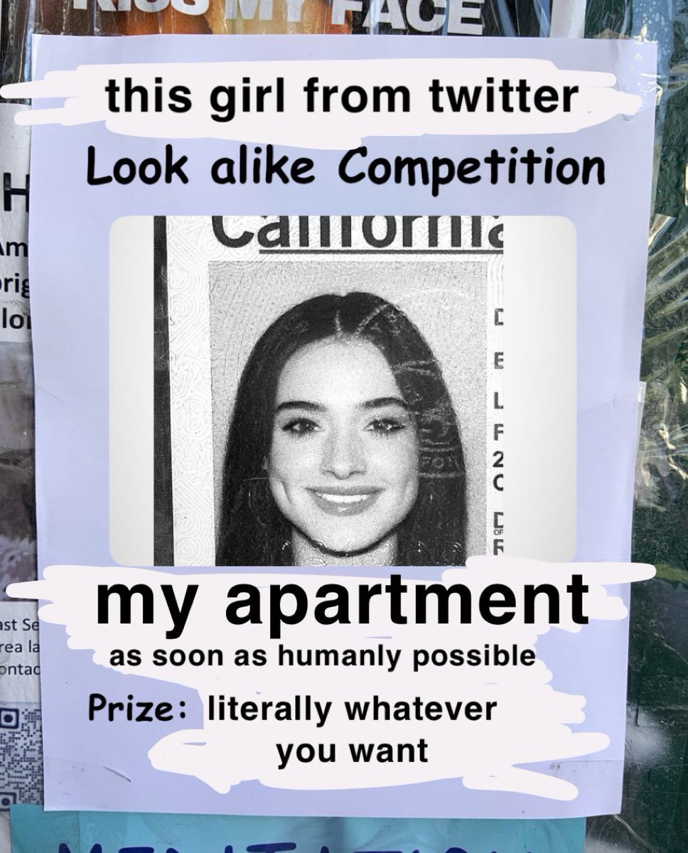 aaronsquealer's tweet image. internet