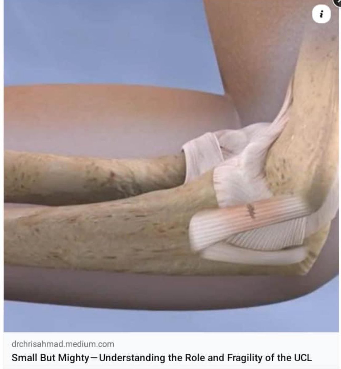 Dr. Chris Ahmad tweet media