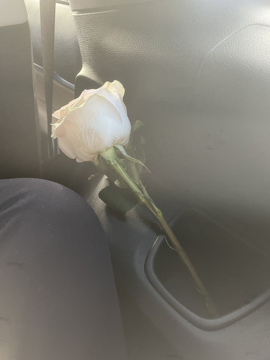 etudefilms's tweet image. Thanksgiving break &amp;lt;3

#archivetwt #DigitalDiary