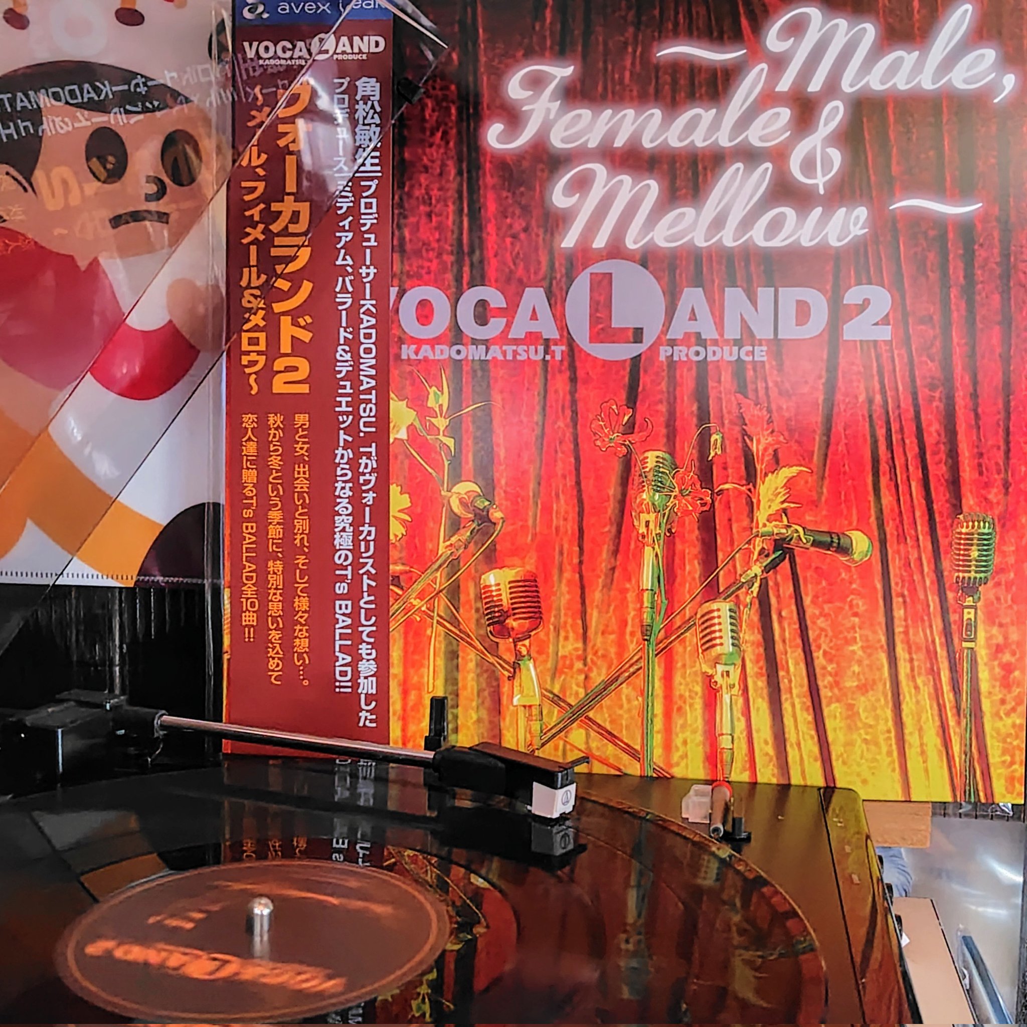 CD 吉田朋代/ビコーズユーアー　角松敏生プロデュース　8センチ8cm シングル CD 吉田朋代/ビコーズユーアー 角松敏生プロデュース 8センチ8cm