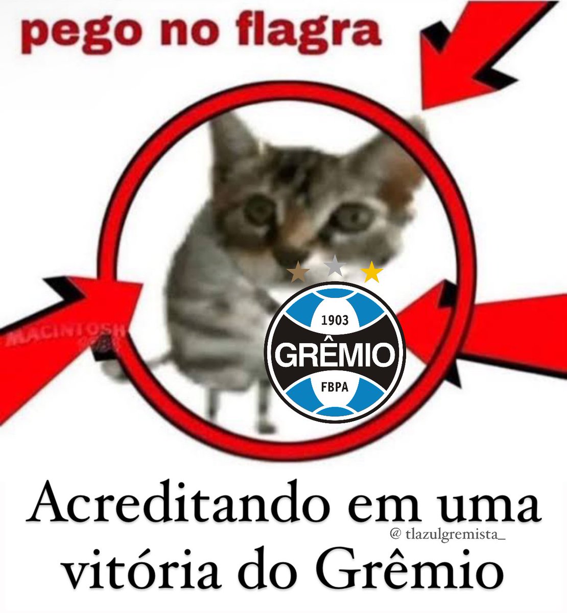 David_gremista_'s tweet photo. https://t.co/Rs8O9uQ7Lx
