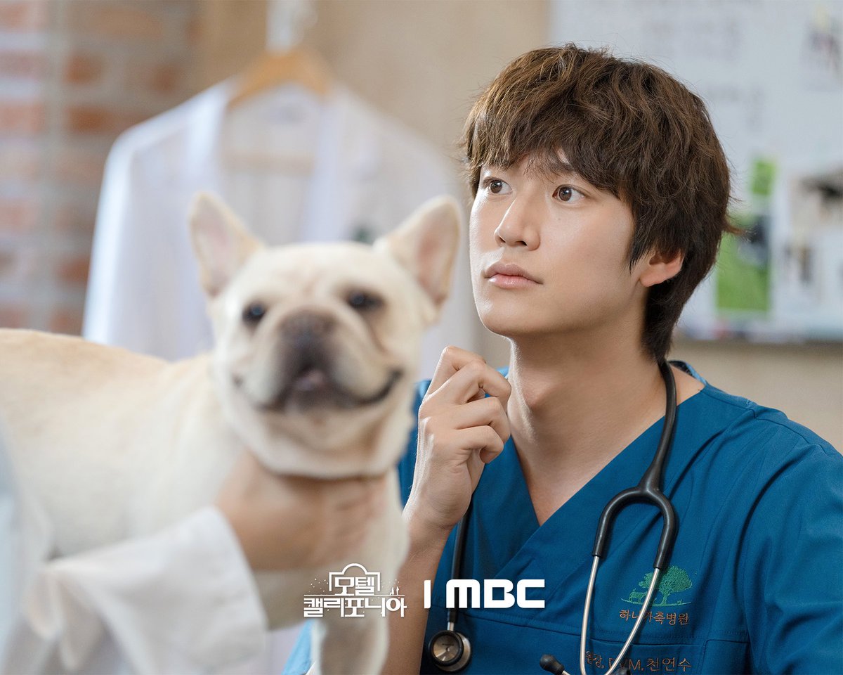 withMBC's tweet photo. 주인만 바라보는 골든 리트리버미 있으시다••

모텔에서 태어나 
모텔에서 자란 여자 주인공이 
12년 전 도망친 고향에서 
첫사랑과 재회하며 겪는 우여곡절 
첫사랑 리모델링 로맨스 드라마
<#모텔캘리포니아> 2025년 1월 첫 방송🏩 

#이세영 #나인우 #최민수 #김태형 #최희진
#mbcdrama #MBC금토드라마 #MBC