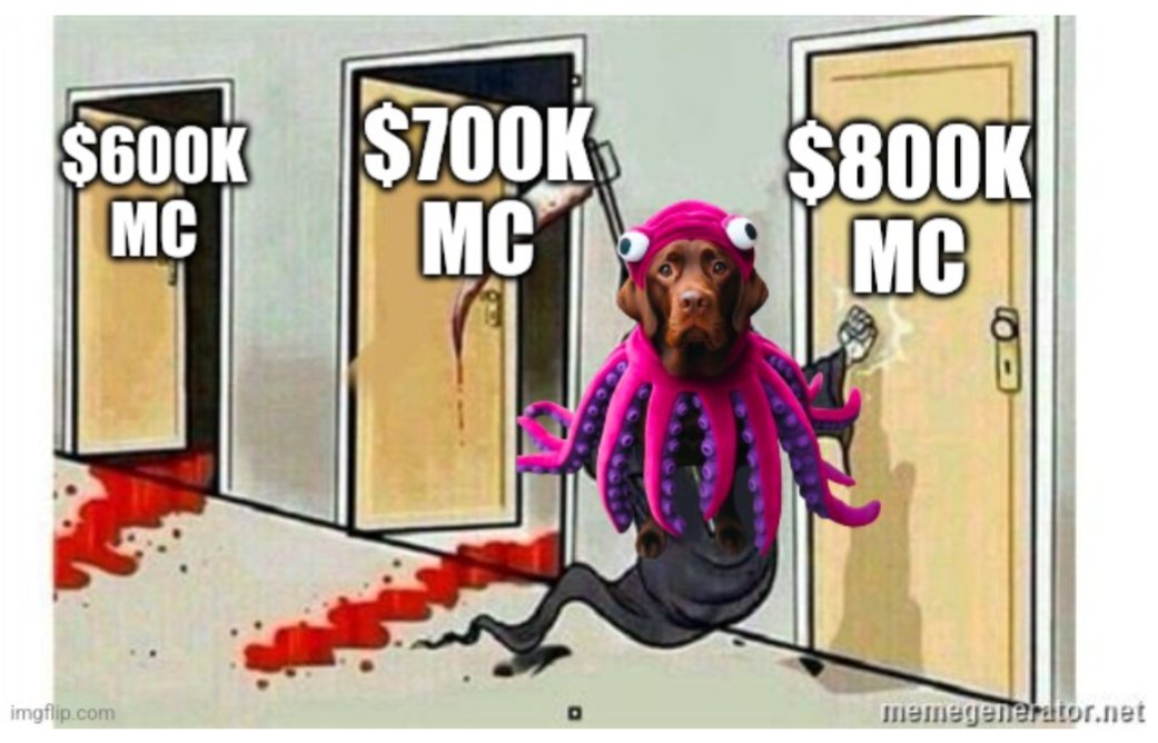 El Chocto tweet media