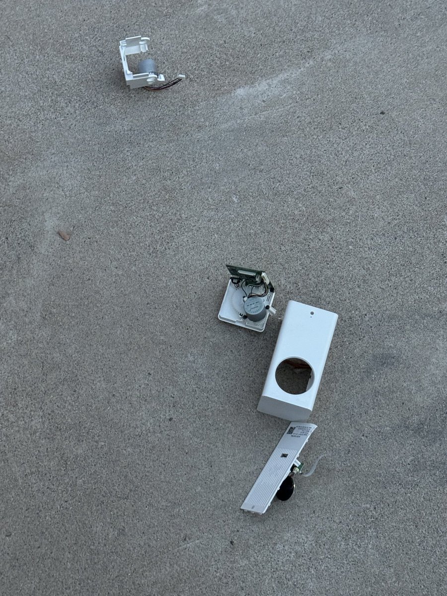 Alex Pettas tweet media