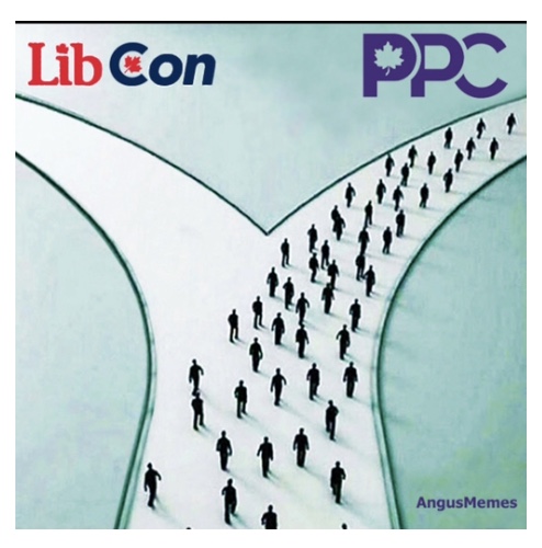 pdf00587301's tweet photo. #LibCON Seems more appropriate. https://t.co/HSZXLaQetZ