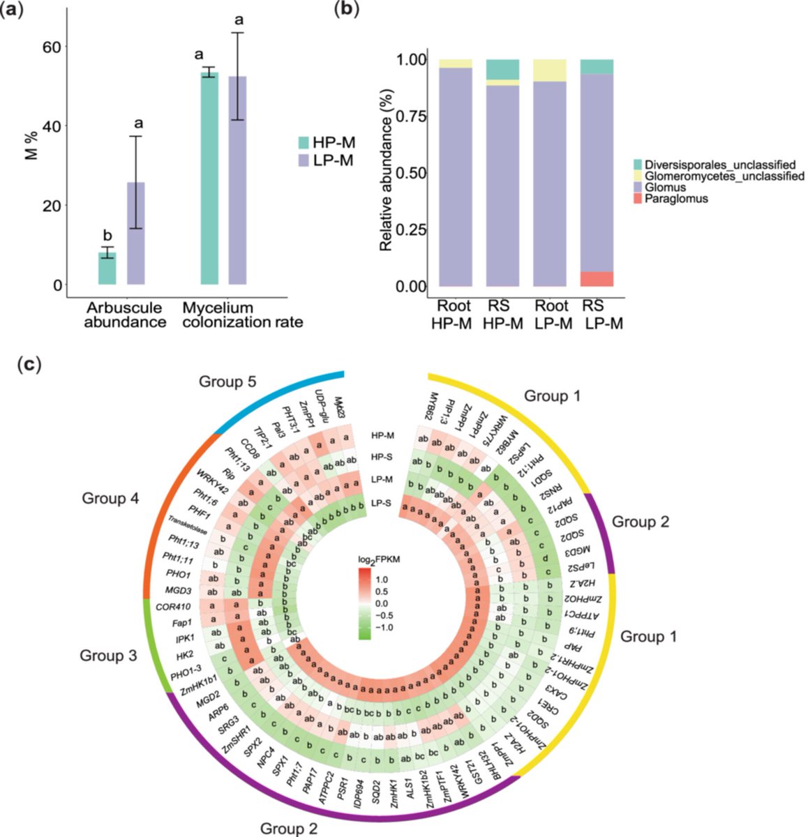 Root System & Rhizosphere tweet media