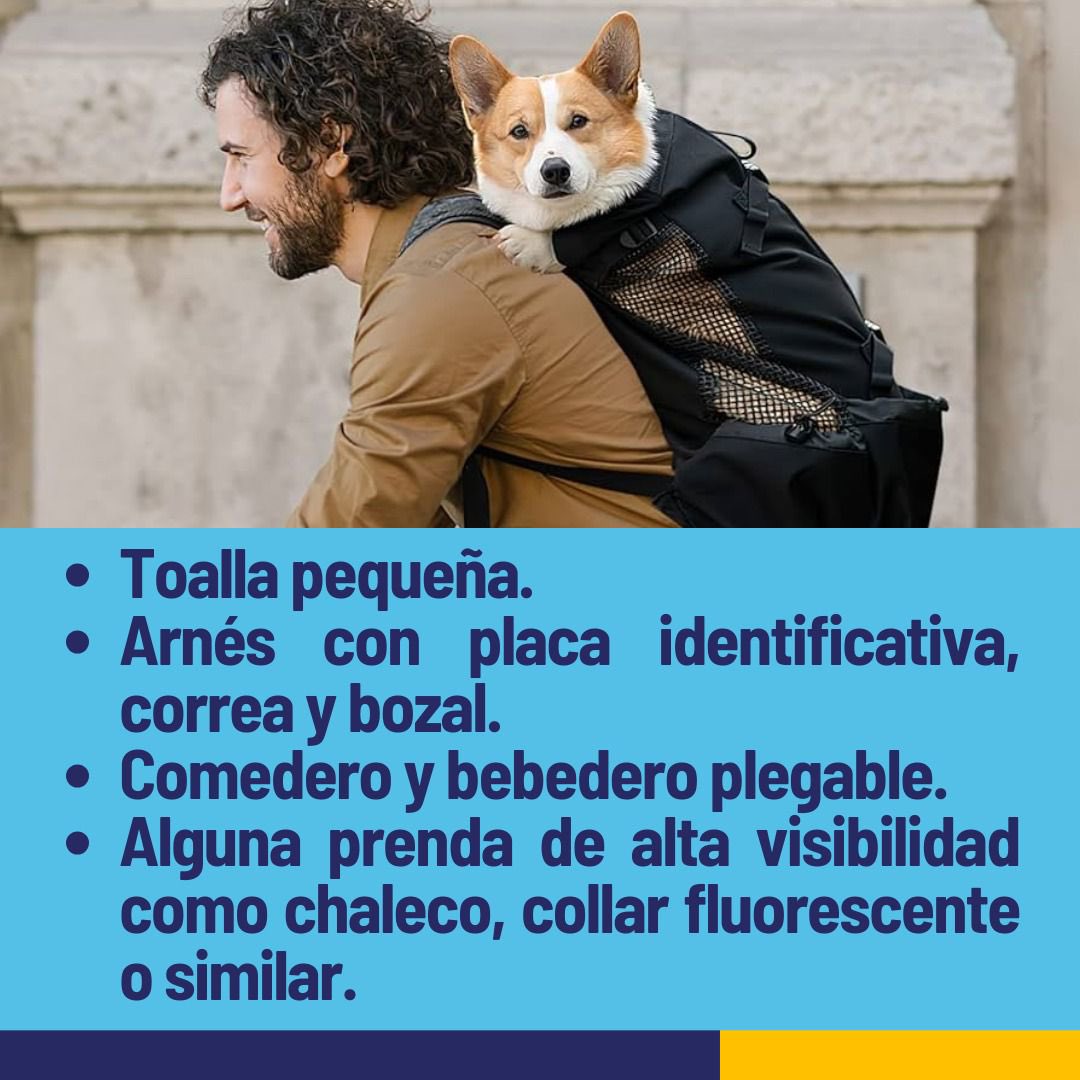 belimoli's tweet photo. Mañana será el primer simulacro de terremoto que incluya animales, te dejo aquí la información de cómo preparar su mochila de emergencia #simulacroGuayaquil2024 #CiudadDeTodos @RescateAnimalEC https://t.co/jYzP3U8aZM