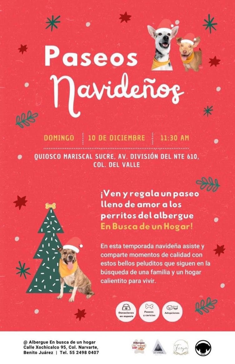 Nancy Manzo. tweet media