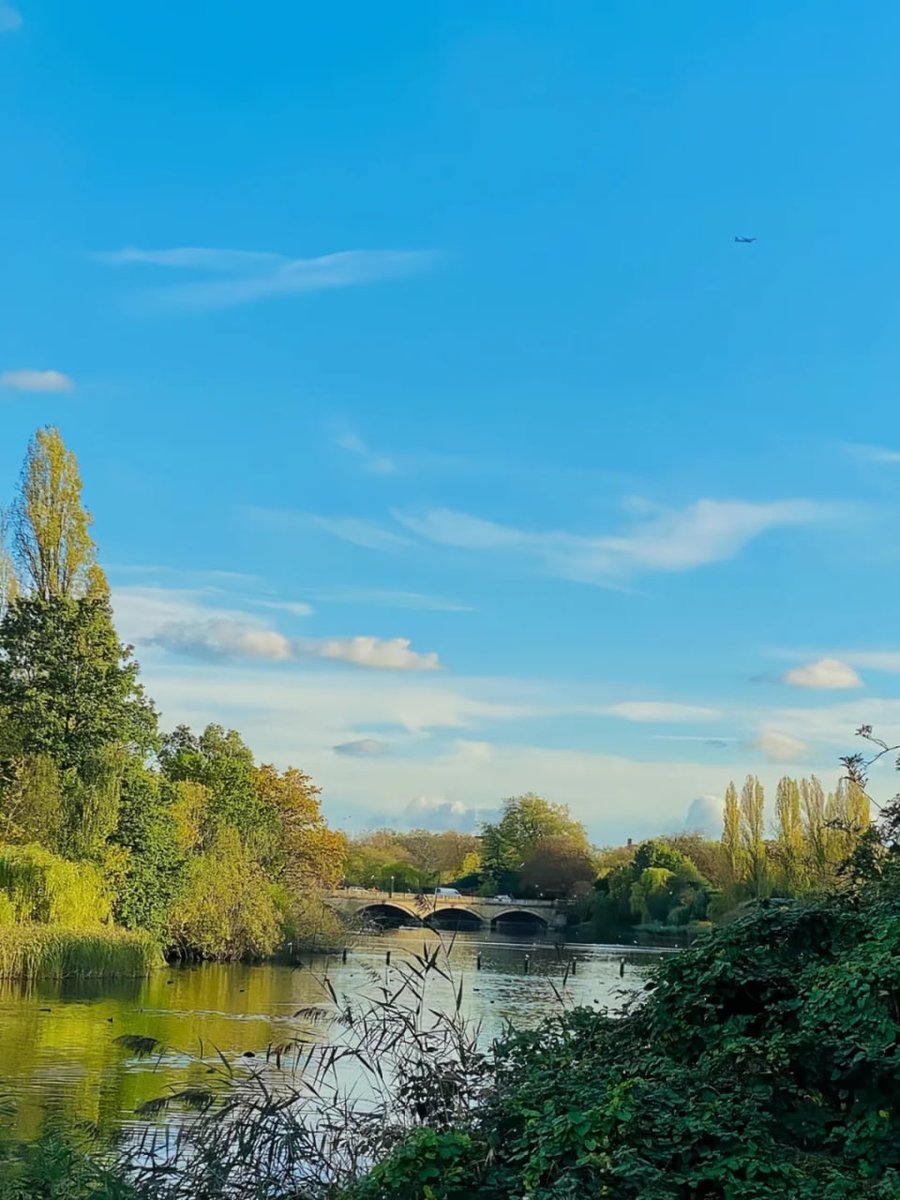 orientalli's tweet image. People enjoying a leisurely day on a grassy park, surrounded by blooming flowers and trees.