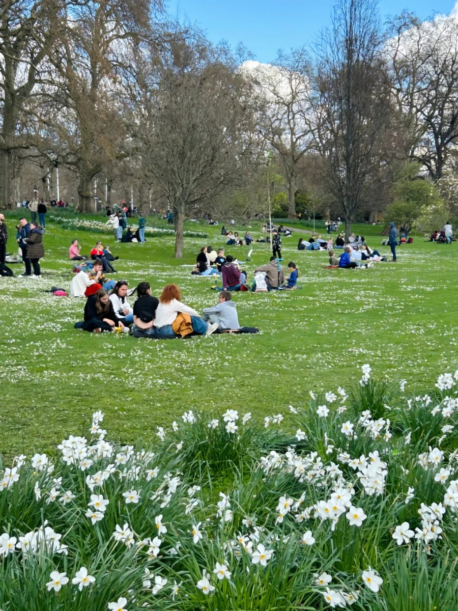 orientalli's tweet image. People enjoying a leisurely day on a grassy park, surrounded by blooming flowers and trees.