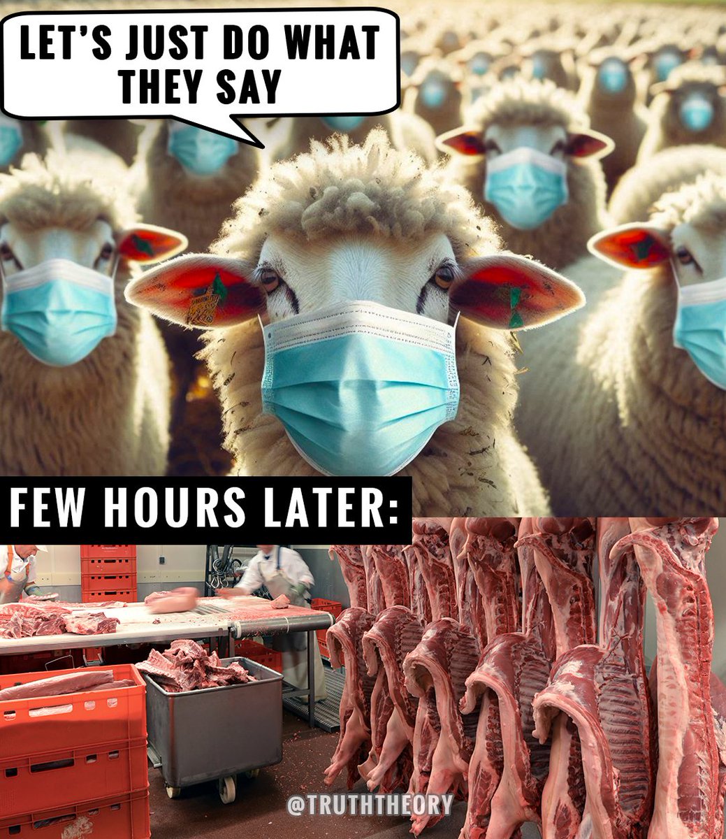 John Galt - Batikhöger 🏴☠️ tweet media