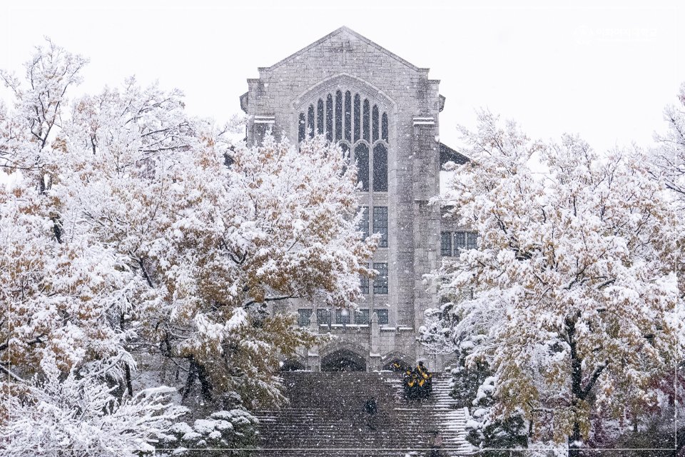 이화여자대학교 tweet media