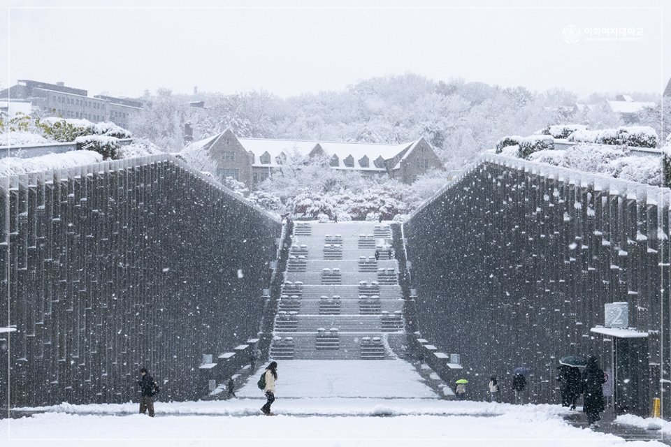 이화여자대학교 tweet media