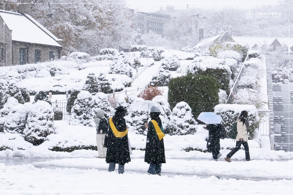 이화여자대학교 tweet media