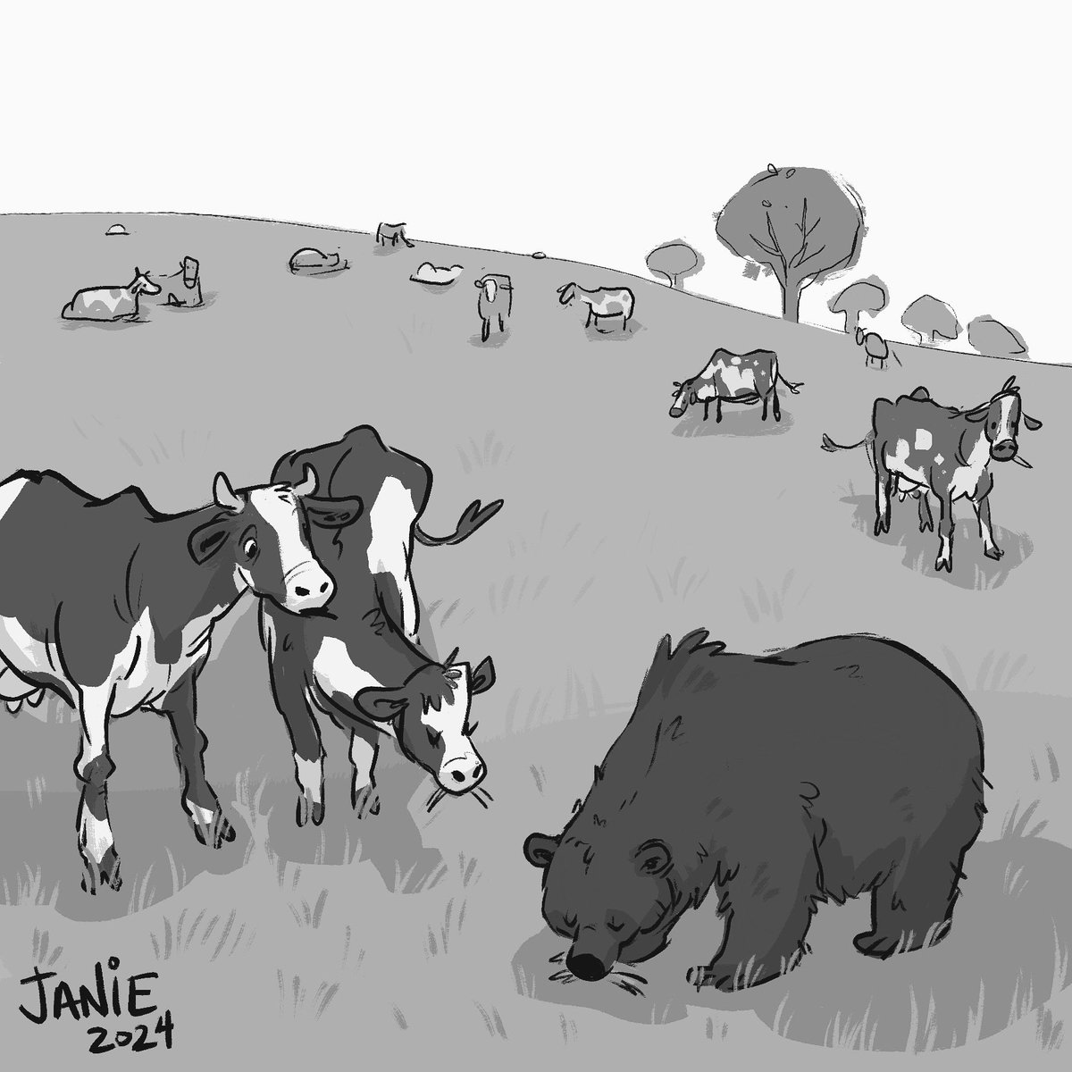 Janie tweet media
