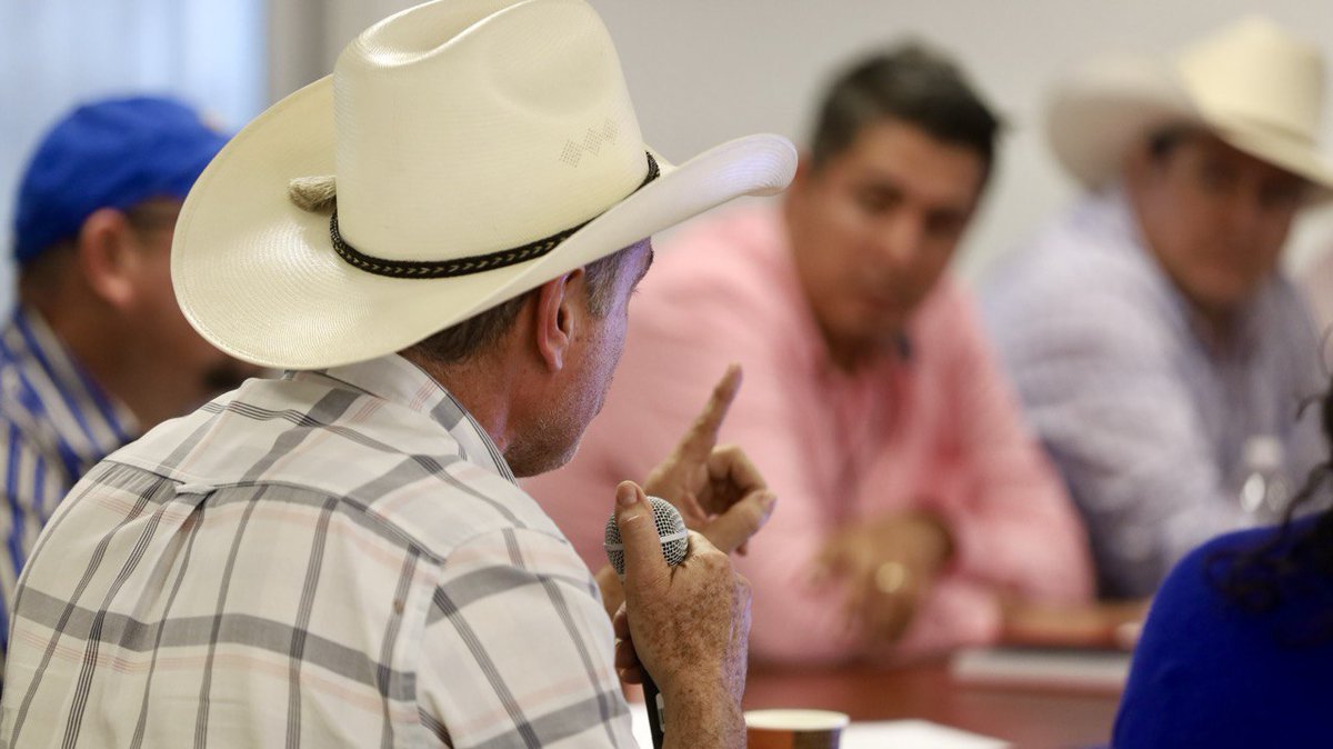 Sader Jalisco tweet media