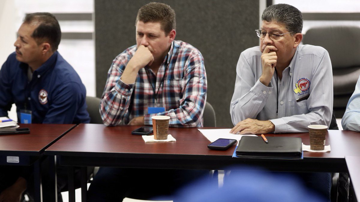 Sader Jalisco tweet media