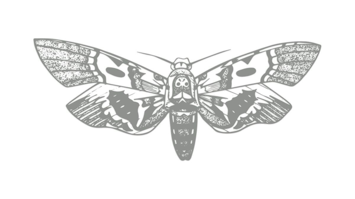 𓃀𓅱𓇌𓎡 (@siwanmedjay) on Twitter photo 