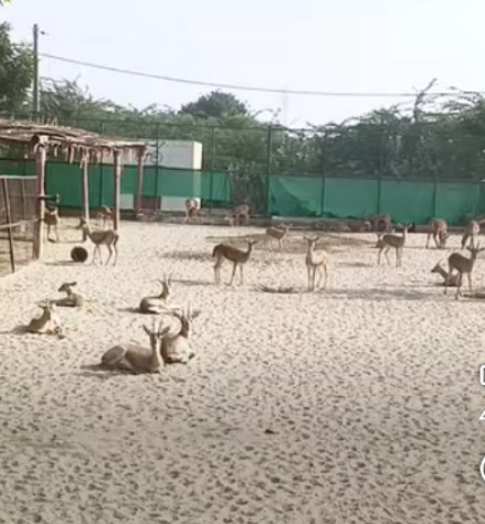 सुप्रभातम आज का दिन सबके लिए मंगलमय हो, सभी प्राणियों की ईश्वर रक्षा करे