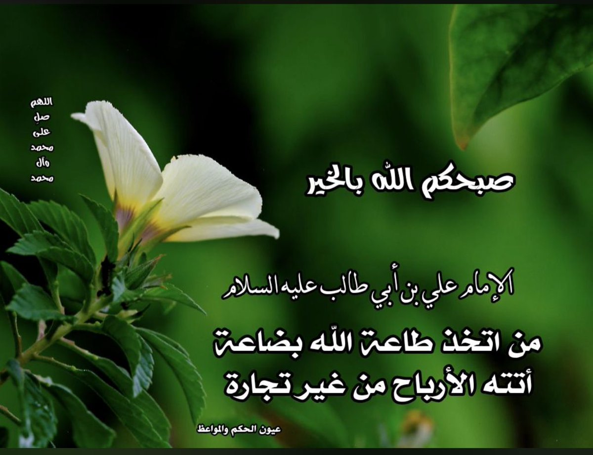 alhulale's tweet photo. https://t.co/GRoT6SqoLj