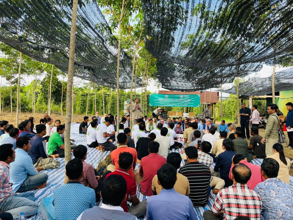 EUAmbCambodia's tweet photo. Pepper farming is spicing up Cambodia’s economy! Today in Tboung Khmom, #TeamEurope 🇪🇺🇫🇷🇨🇿🇩🇪 joined HE @TinaDITH to support sustainable pepper production, empowering farmers and unlocking premium markets. Together for climate-resilient agriculture! 🇪🇺🤝🇰🇭 #EU4Sustainability https://t.co/3e40Hr7JOR