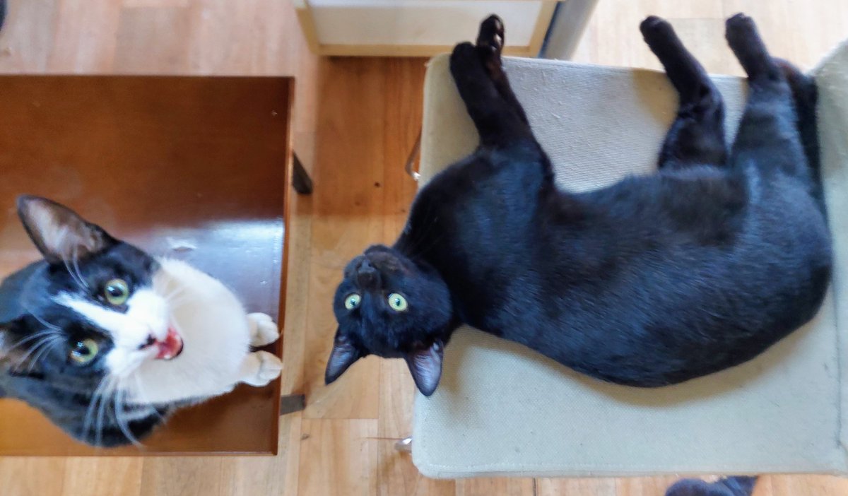 Neye nasıl bakarsan o da sana öyle bakar.