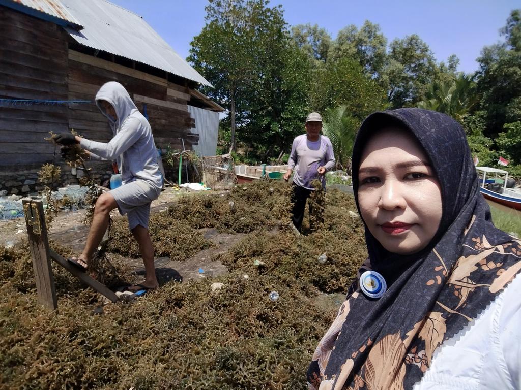 hasrlana80's tweet photo. Selasa(26/11), Hasriana,Luhkan Kab.Luwu, Melaporkan Hasil Panen Rumput Laut E. cottonii di Pokdakan  Katonik Berkah (Ketua), Desa Tirowali kecamatan Ponrang, kurang lebih 1.500 Kg(Basah) harga jual Rp.3000/kg
#GiatLuhkanSatminkalMaros
#luhlapor
@BRPBAP3_Maros
@bppsdm_kp https://t.co/7CEAURy2Yu