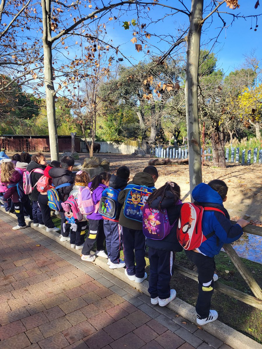 Col. Rafaela Ybarra tweet media