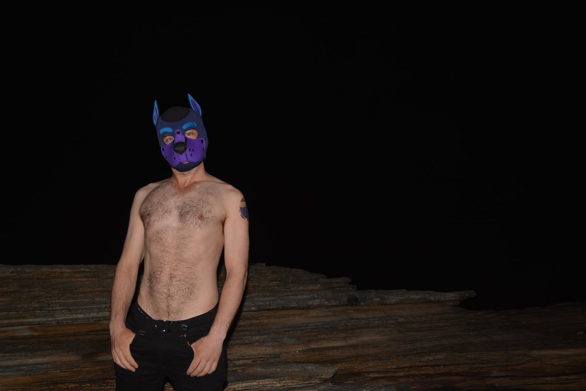 Pup Mase tweet media