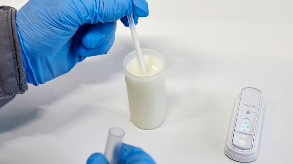 Poplait : la facturation du lait par les OP patine
Dans l’Ouest, les OP voulant facturer le lait se heurtent à la décision du laboratoire MyLab de faire payer l’accès aux données. Une nécessité, selon lui, pour garantir la sécurité et l’équité…
sco.lt/73Q3ge