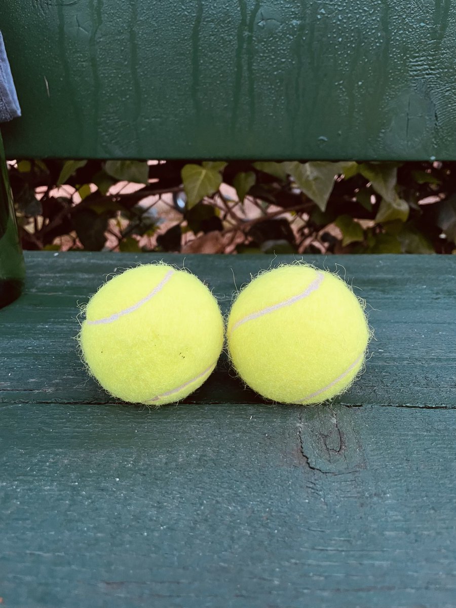 Francesco Morbilli tweet media