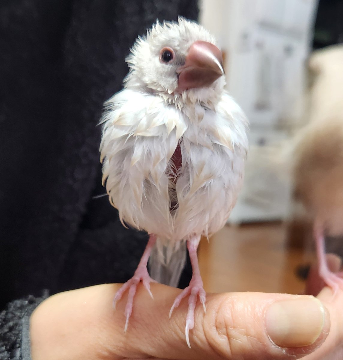 びちゃびちゃ姿もかわいい💞