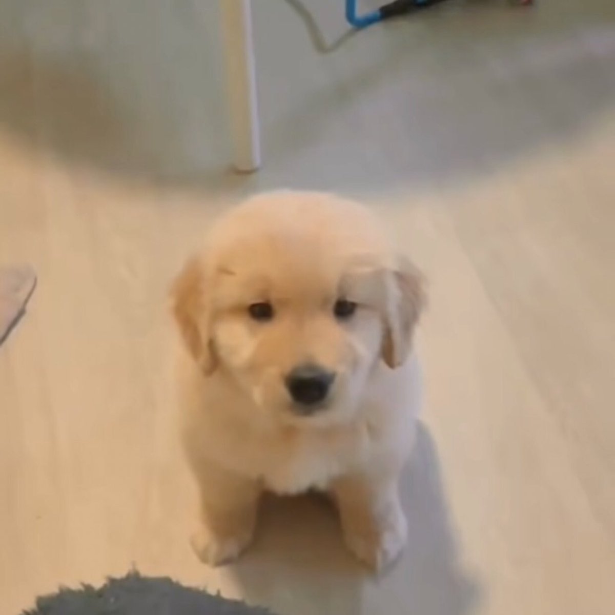 คืนนิ นอนนอกห้อง 😡
เค้าขอทอด (ฝากไว้ก่อนเด้อ อิอ้วน)