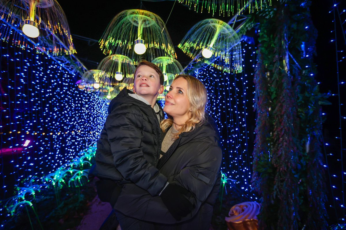 Marwellwildlife's tweet photo. Are you visiting Glow Marwell this year?❄️✨
Here are some top tips to help you make the most of your visit: https://t.co/QNRSQ0xYbb
Tickets for Glow are selling out fast! Don’t miss out, get your tickets now.🎄
#GlowMarwell #LightEvent #Christmas https://t.co/Jo6i4vLjW1