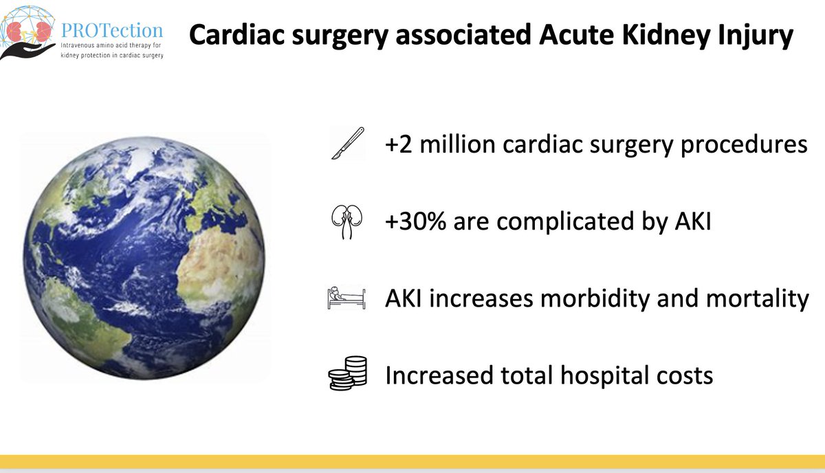 #AminoAcids infusion for #renal #protection

#AKI is a major complication after cardiac surgery

📌Many hospitals around the world are deciding whether to start amino acids (AA) in all #cardiac #surgery patients
✅Here are the best manuscripts to guide this choice

A thread🧵
1/7