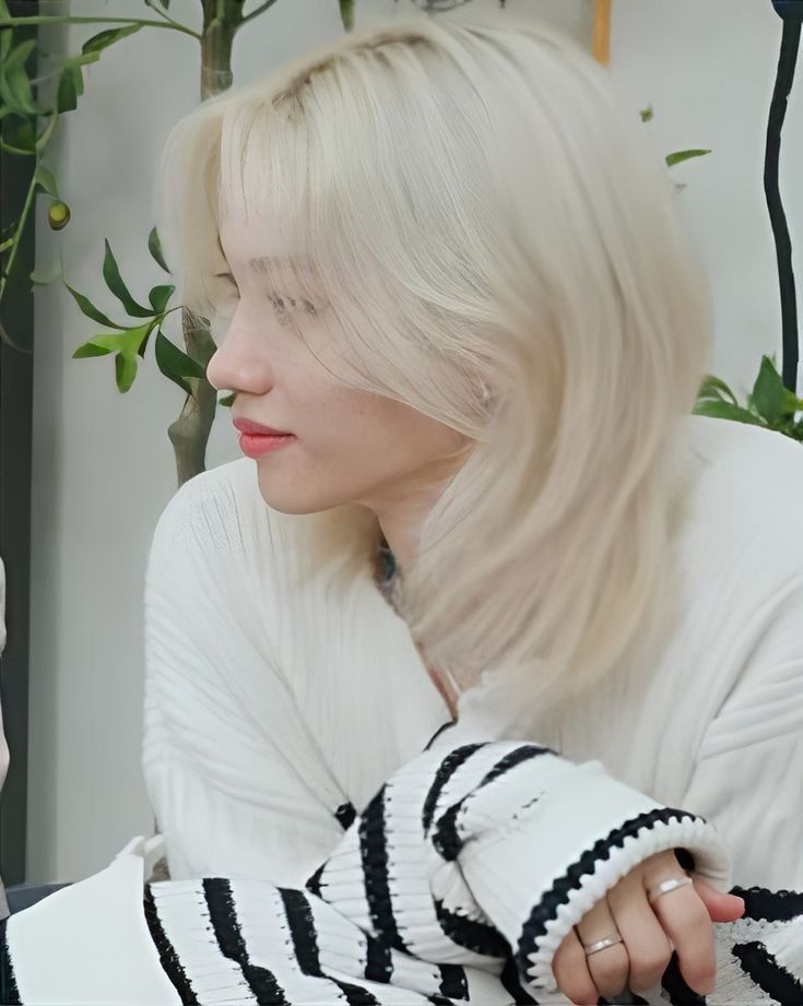 🐉Lili ᰔ tweet media