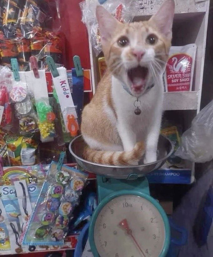 Me when the scale goes up after a week of binging