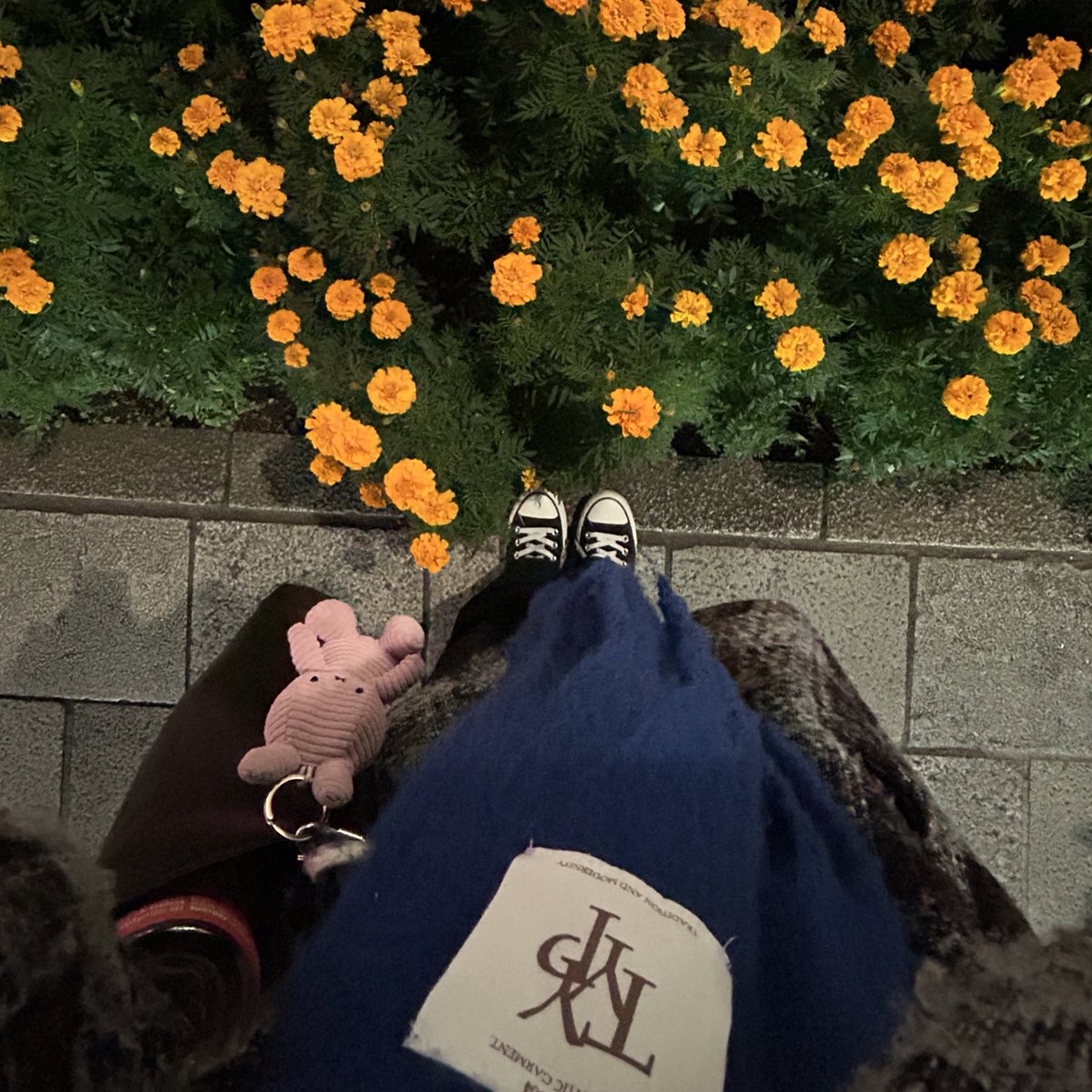 hoooootate_'s tweet image. 