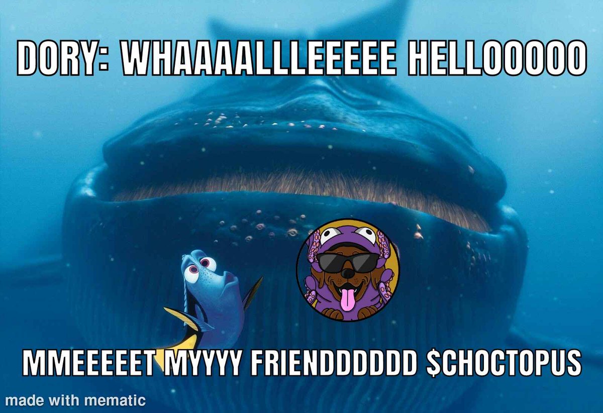 Choctopus tweet media